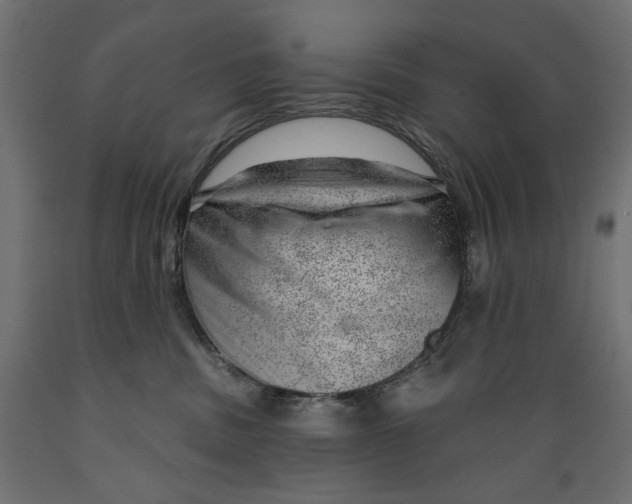 X0000088900379200707061500