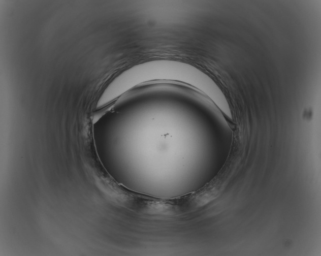 X0000088900380200707061500