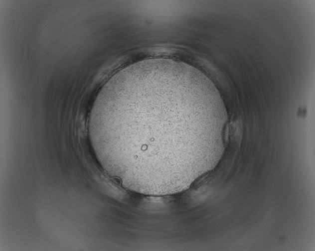 X0000088900381200707061500