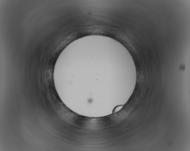 X0000088900382200707061500