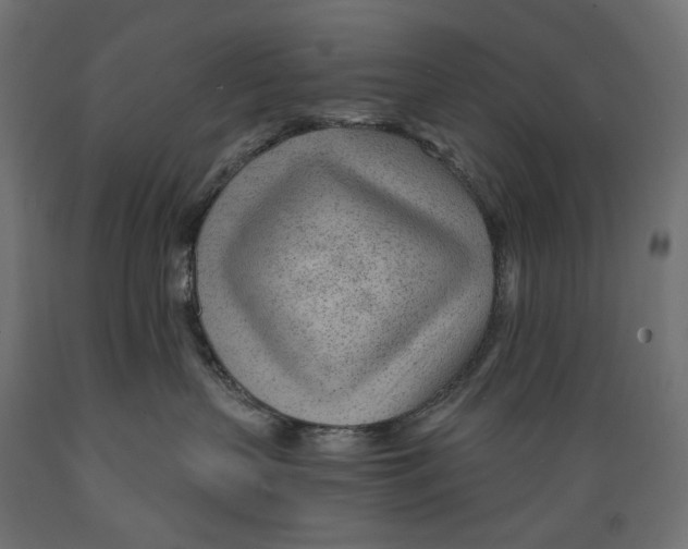 X0000088900383200707061500