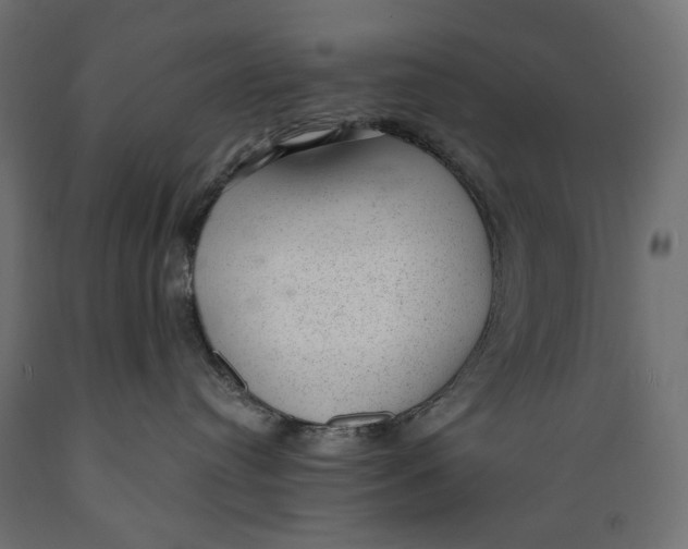 X0000088900384200707061500