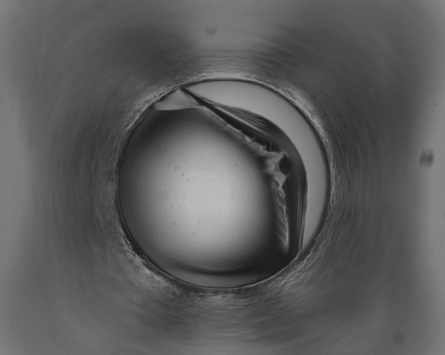 X0000088900385200707061459