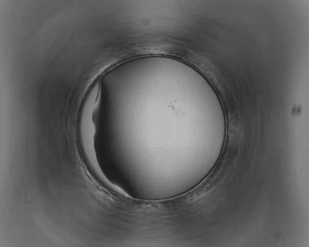 X0000088900386200707061459