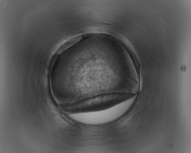 X0000088900387200707061459