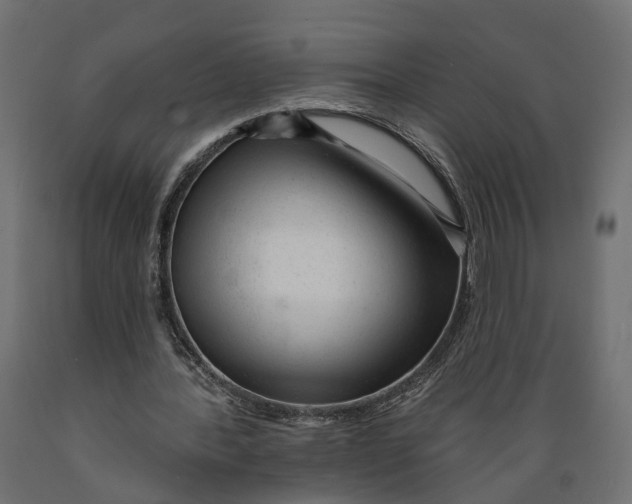 X0000088900388200707061459