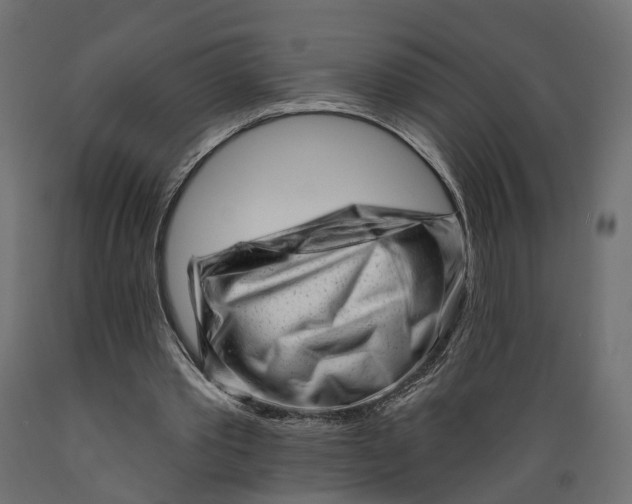 X0000088900389200707061459