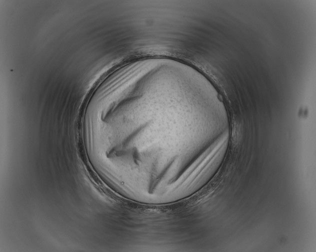 X0000088900390200707061459