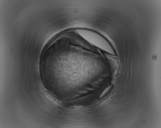 X0000088900391200707061459