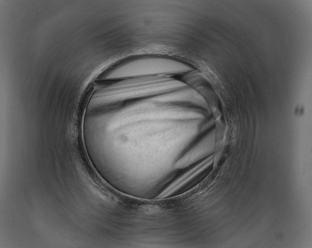 X0000088900392200707061459