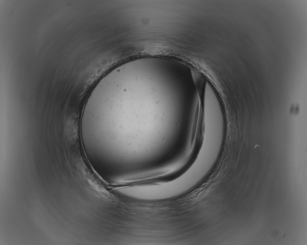 X0000088900393200707061459