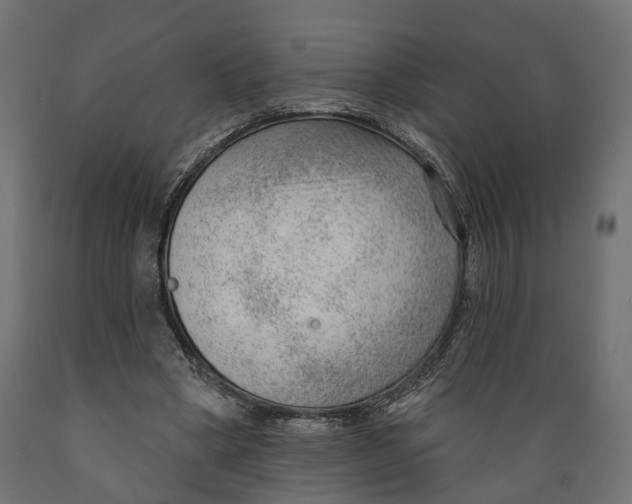 X0000088900394200707061459