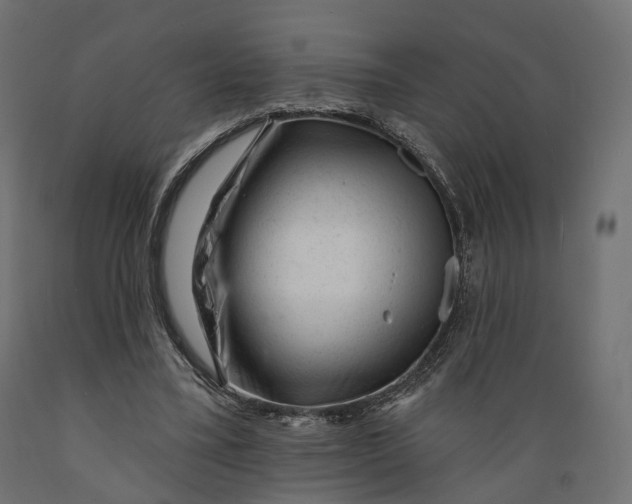 X0000088900395200707061459