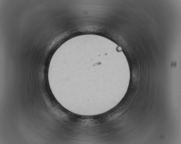 X0000088900396200707061459