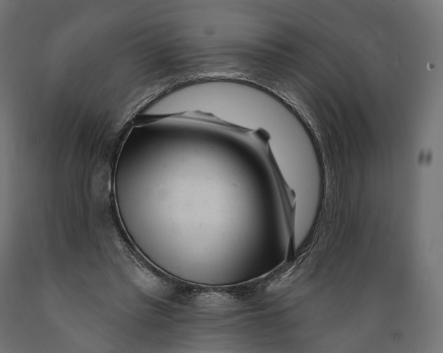 X0000088900397200707061459