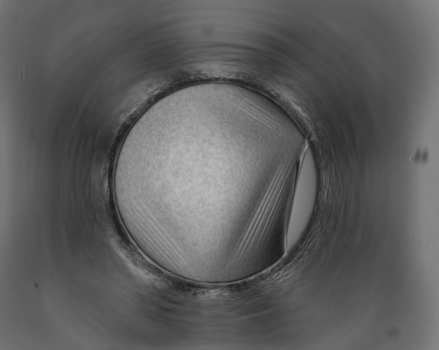 X0000088900398200707061459