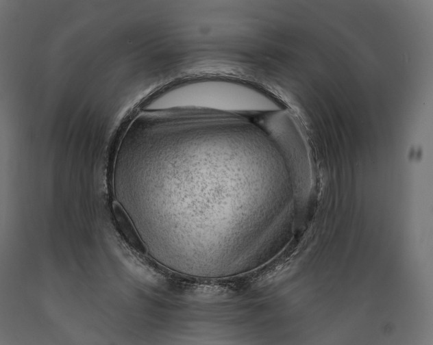 X0000088900399200707061459