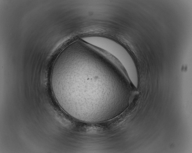 X0000088900400200707061459