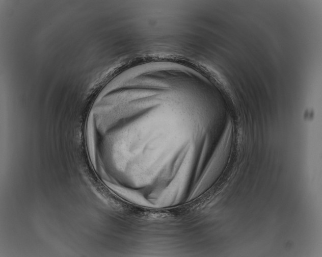 X0000088900401200707061459