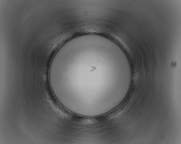 X0000088900402200707061459