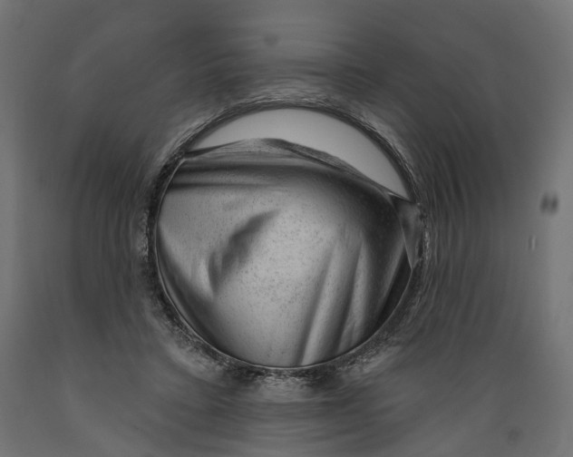 X0000088900403200707061459