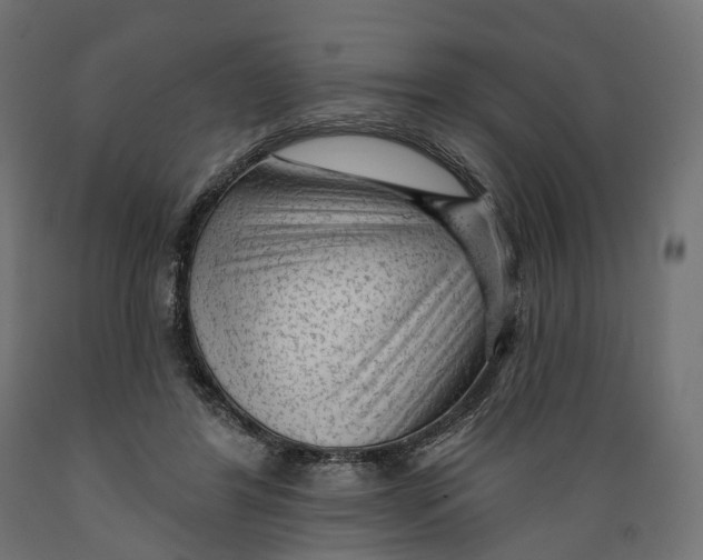 X0000088900404200707061459