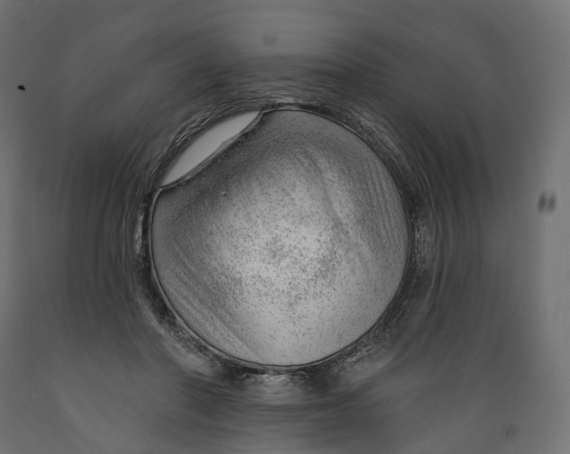 X0000088900406200707061459