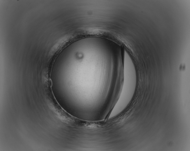 X0000088900407200707061459