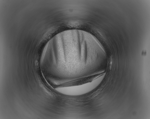 X0000088900408200707061459