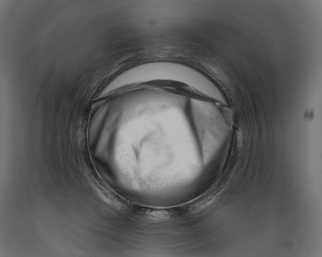 X0000088900409200707061459