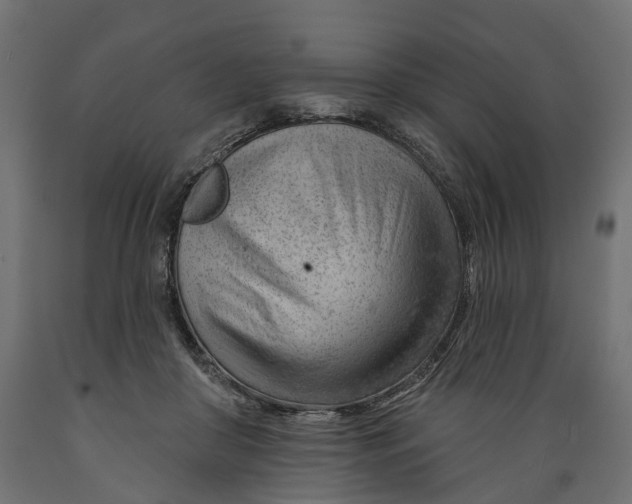 X0000088900410200707061459