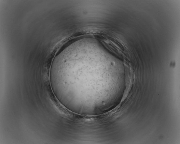 X0000088900411200707061459