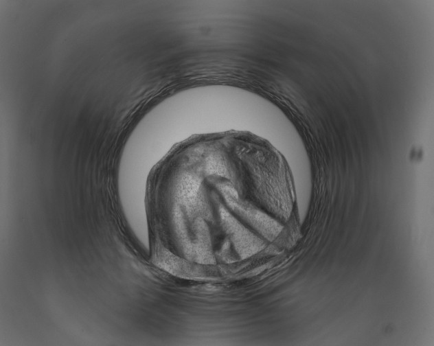 X0000088900412200707061459