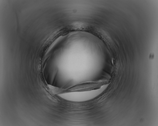 X0000088900413200707061459