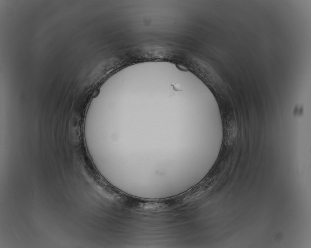 X0000088900414200707061459