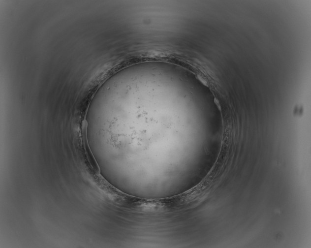 X0000088900415200707061459