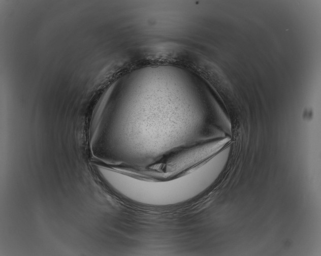 X0000088900416200707061459