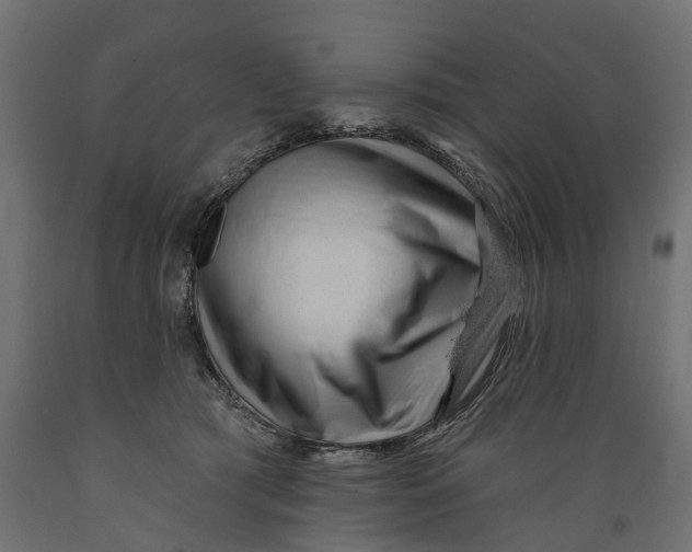 X0000088900417200707061459