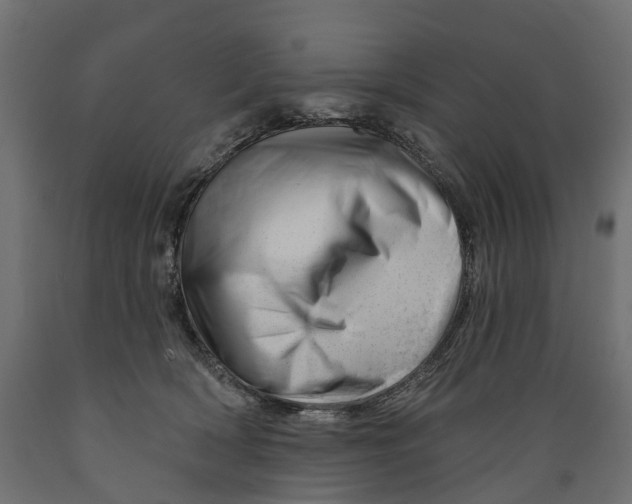 X0000088900418200707061459