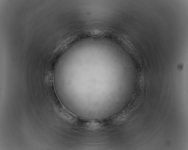 X0000088900419200707061459