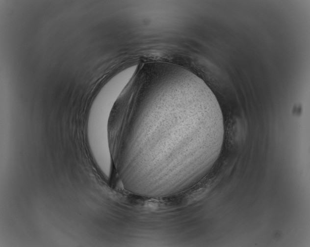 X0000088900420200707061459