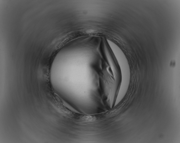 X0000088900421200707061459