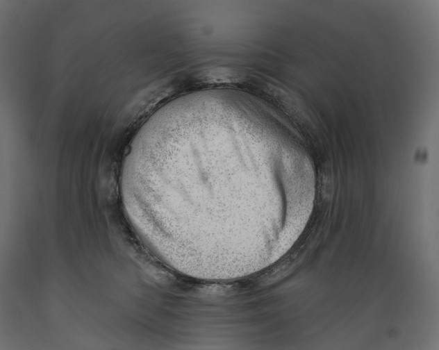 X0000088900422200707061459