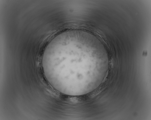 X0000088900423200707061459