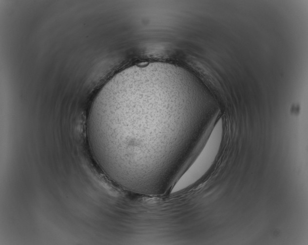 X0000088900424200707061459