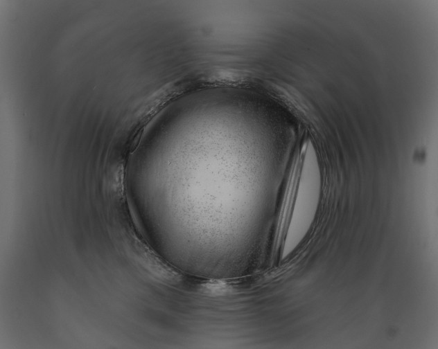 X0000088900425200707061459