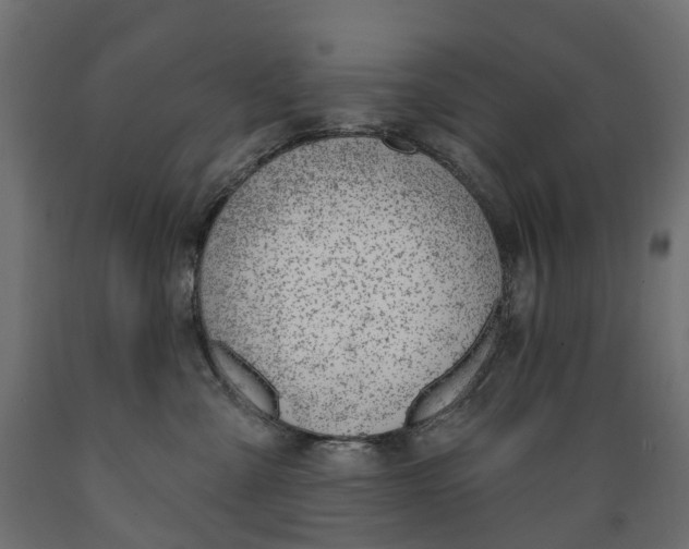 X0000088900427200707061459