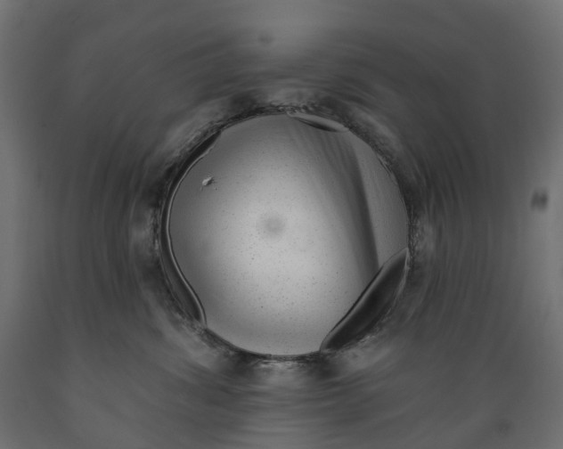 X0000088900428200707061459