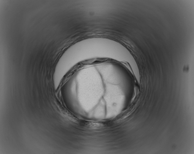 X0000088900429200707061459