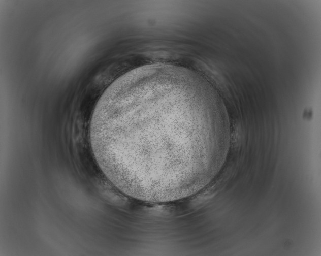 X0000088900430200707061458